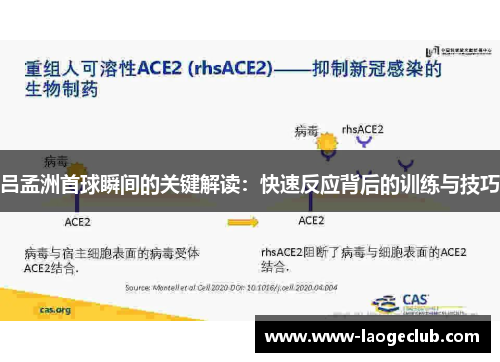 吕孟洲首球瞬间的关键解读：快速反应背后的训练与技巧