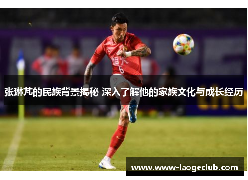 张琳芃的民族背景揭秘 深入了解他的家族文化与成长经历