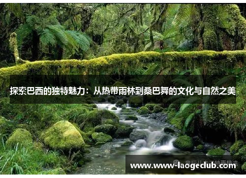 探索巴西的独特魅力：从热带雨林到桑巴舞的文化与自然之美