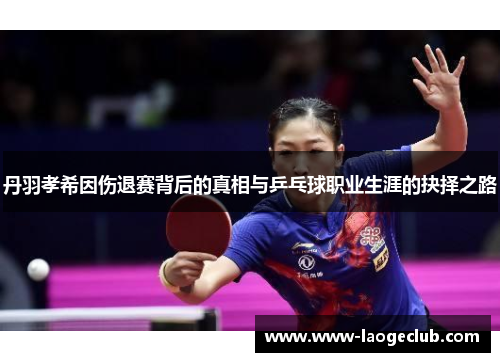 丹羽孝希因伤退赛背后的真相与乒乓球职业生涯的抉择之路