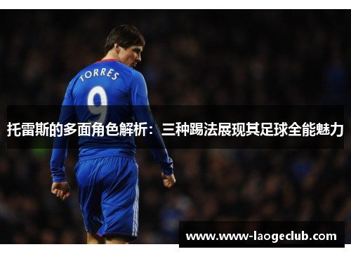 托雷斯的多面角色解析：三种踢法展现其足球全能魅力