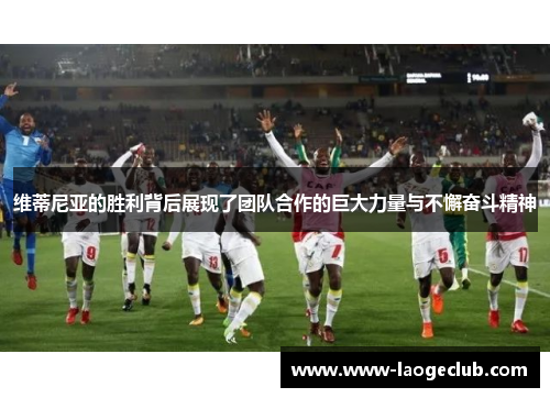 维蒂尼亚的胜利背后展现了团队合作的巨大力量与不懈奋斗精神