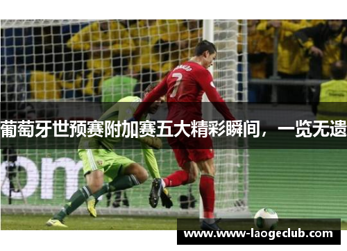 葡萄牙世预赛附加赛五大精彩瞬间，一览无遗