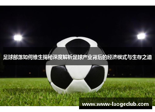 足球部落如何维生揭秘深度解析足球产业背后的经济模式与生存之道