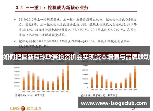 如何把握新篮球联赛投资机会实现资本增值与品牌联动