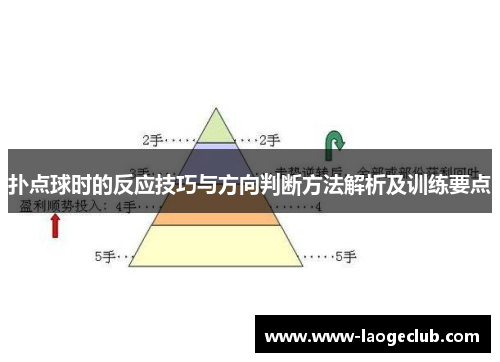 扑点球时的反应技巧与方向判断方法解析及训练要点