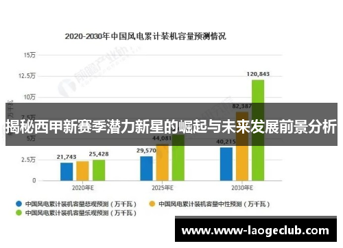 揭秘西甲新赛季潜力新星的崛起与未来发展前景分析